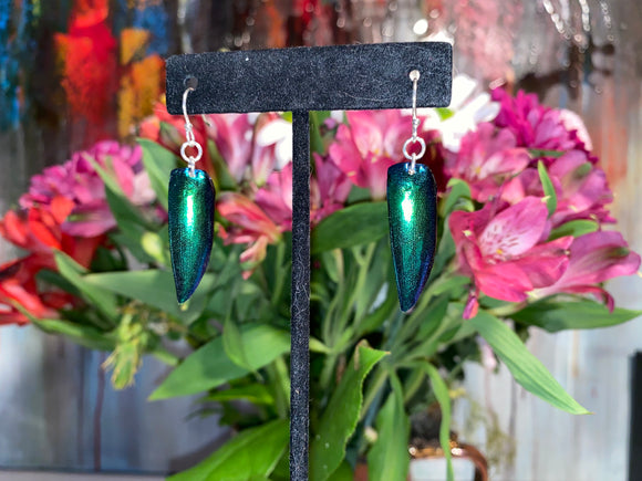 Blue-Green Beetle Shell Earrings