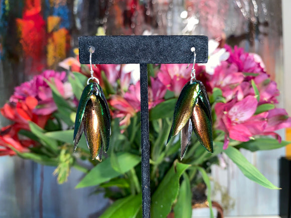 Red-Green Jewel Beetle Earrings