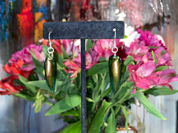 Red-Green Beetle Shell Earrings