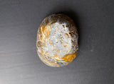 Ocean Jasper Bowl