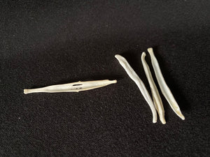 <transcy>Renard Baculum</transcy>